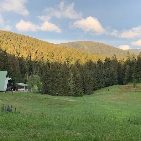 Natur Pur Im Nationalpark Schwarzwald Weier Exterior photo