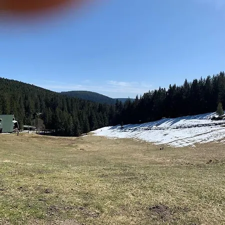 Natur Pur Im Nationalpark Schwarzwald Weier Exterior photo