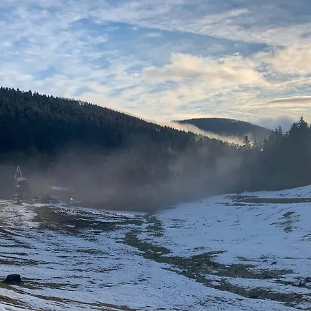 Natur Pur Im Nationalpark Schwarzwald Weier Exterior photo