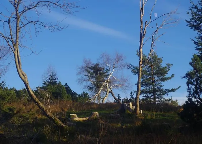 Natur Pur Im Nationalpark Schwarzwald