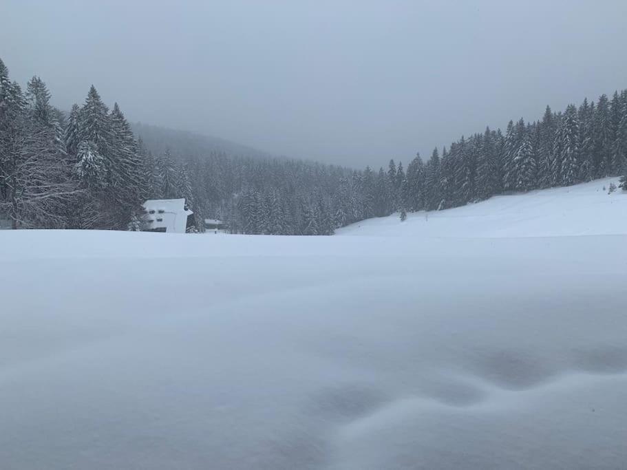 Apartment Pur Im Nationalpark Schwarzwald *