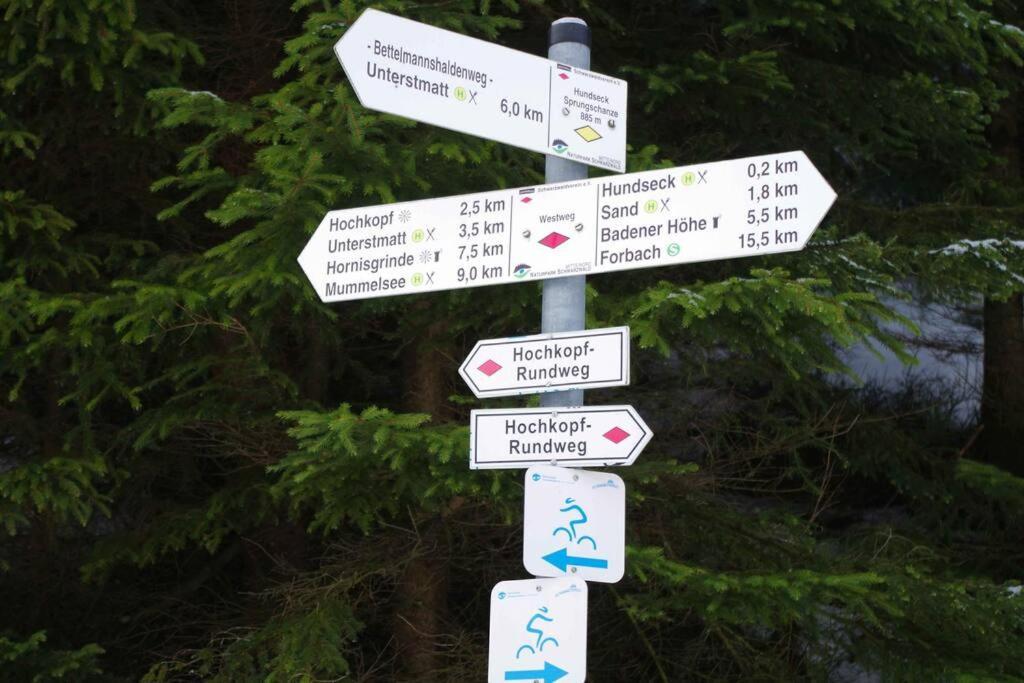 Pur Im Nationalpark Schwarzwald Weier