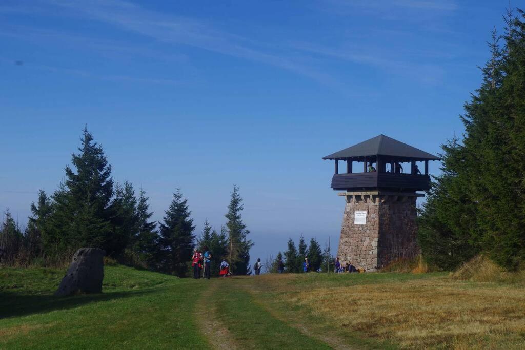 Pur Im Nationalpark Schwarzwald